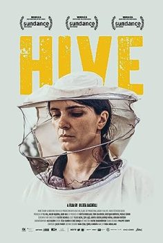 Hive – Kovan